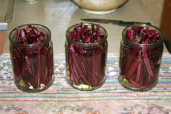 Pétioles de blette marinés