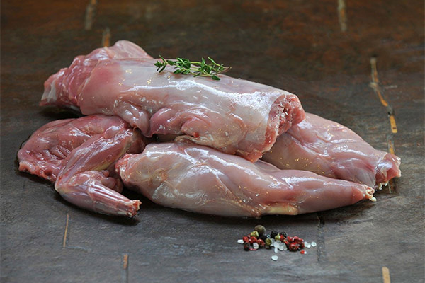 Darf man einem Hund Kaninchenfleisch geben?