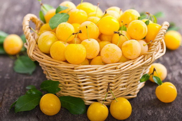 Propriétés bénéfiques de la prune cerise