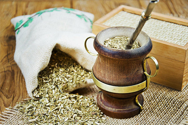 Propriétés bénéfiques du thé maté