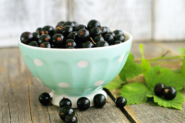 Propriétés bénéfiques du cassis