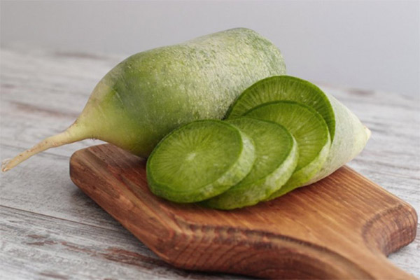 Propriétés bénéfiques du radis vert