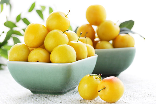 Bienfaits et méfaits de la prune cerise