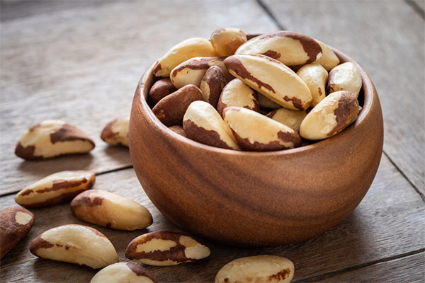 Nutzen und Schaden der Paranuss