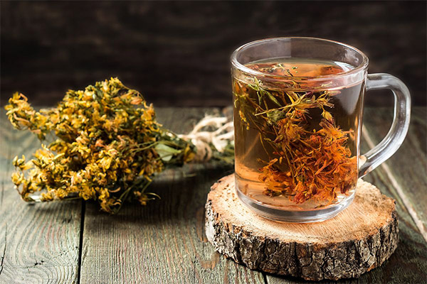 Bienfaits et dangers du thé de millepertuis