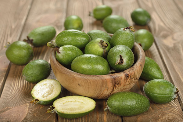 Nutzen und Schaden von Feijoa