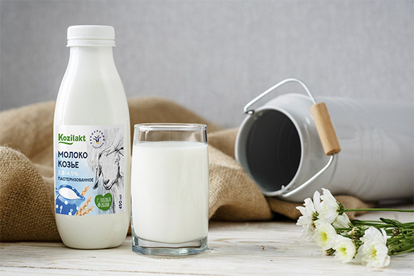 Bienfaits et méfaits du lait de chèvre