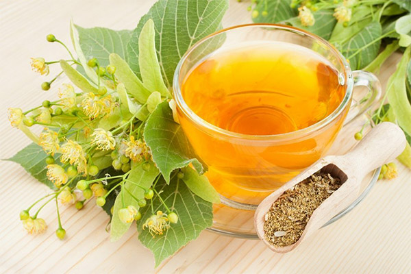 Bienfaits et inconvénients de la tisane de tilleul