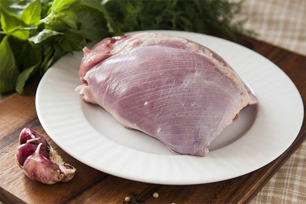 Bienfaits et méfaits de la viande de dinde