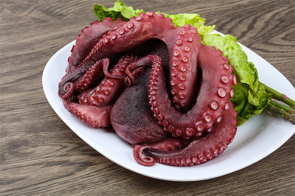 Nutzen und Schaden des Oktopus