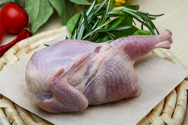 Bienfaits et dangers de la viande de caille