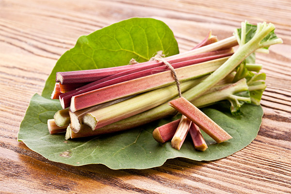 Bienfaits et inconvénients de la rhubarbe