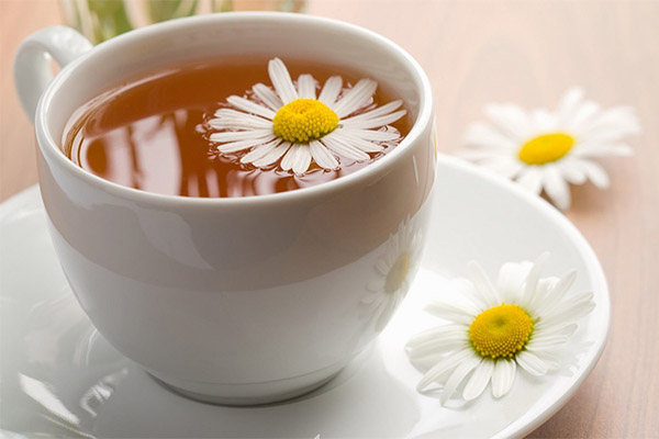 Bienfaits et inconvénients de la tisane de camomille