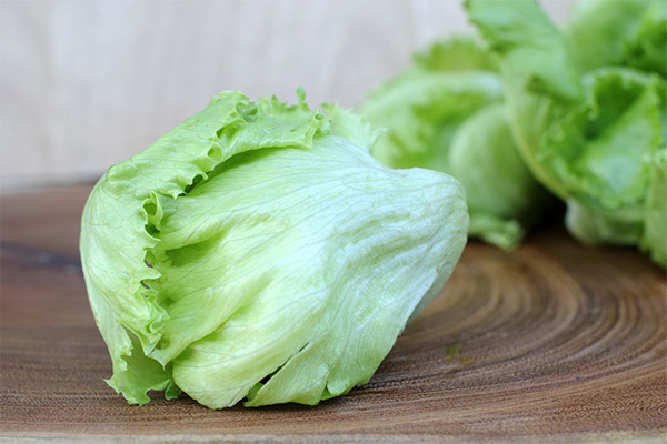 Bienfaits et méfaits de la salade iceberg