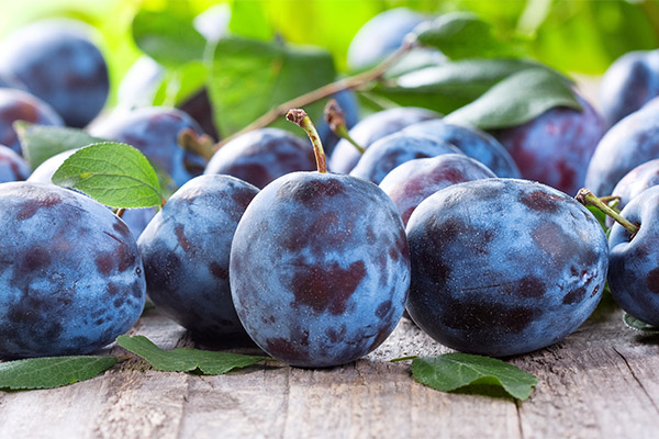 Bienfaits et inconvénients de la prune