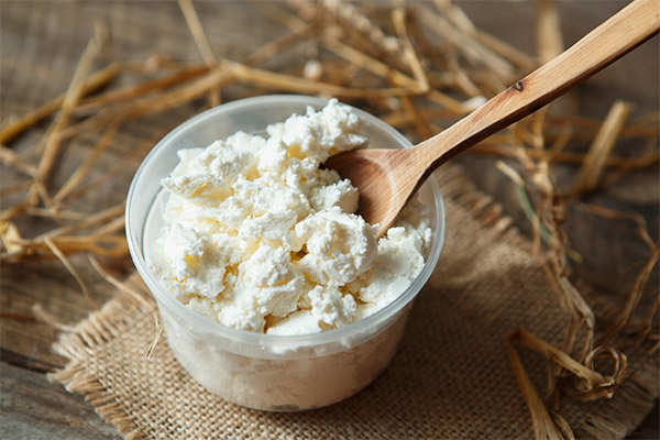 Bienfaits du fromage blanc de chèvre