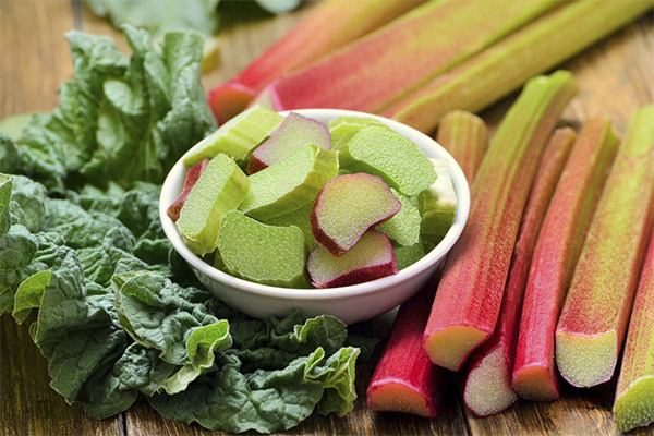 Bienfaits de la rhubarbe pour la perte de poids