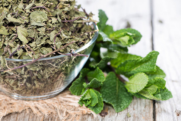 Bienfaits de la menthe séchée
