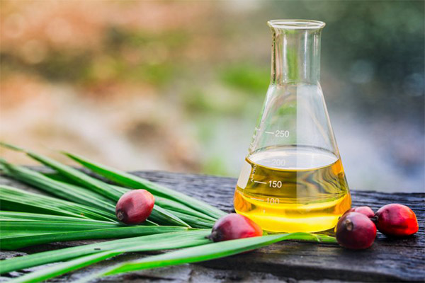 Utilisation de l'huile de palme en médecine traditionnelle
