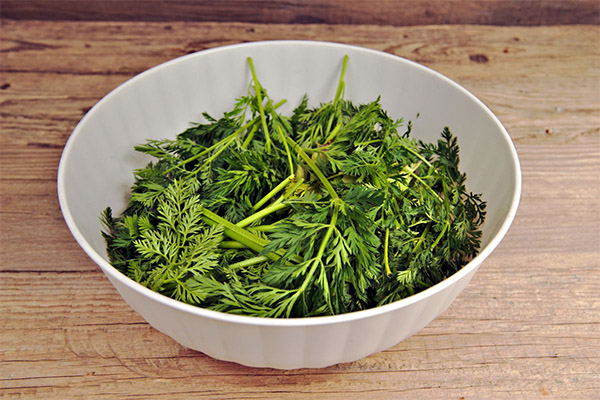 Recettes de médecine traditionnelle à base de fanes de carotte
