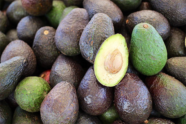 Conseils pour choisir un avocat