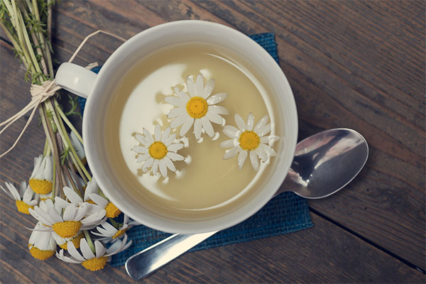 La tisane de camomille pendant la grossesse
