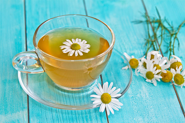 La tisane de camomille en cosmétologie