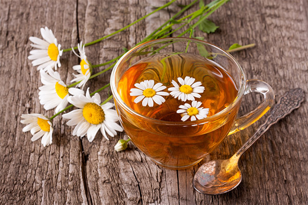 La tisane de camomille en médecine