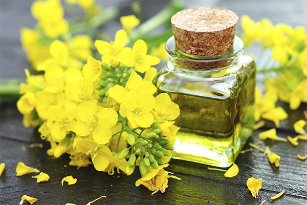L'huile de caméline en cosmétologie