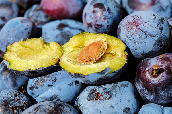 Les prunes en cosmétologie