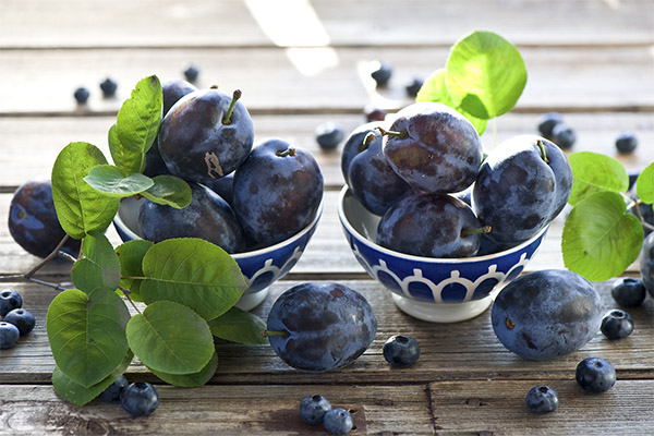 Les prunes en médecine