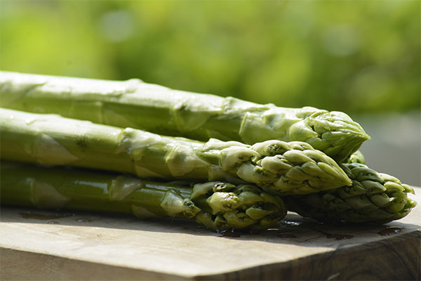 L'asperge en médecine