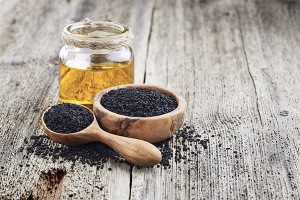Les méfaits et les contre-indications de l'huile de cumin noir
