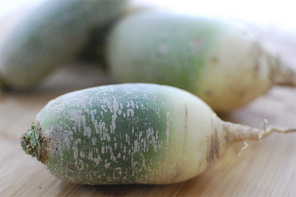 Le radis vert en cosmétologie