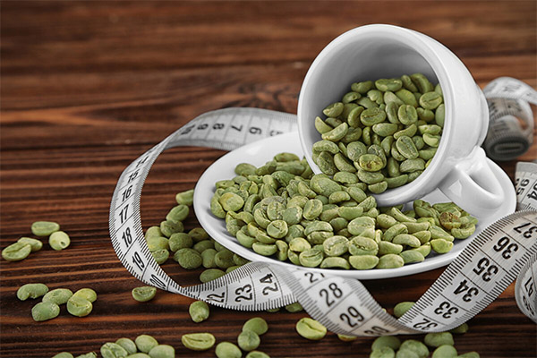 Le café vert pour la perte de poids