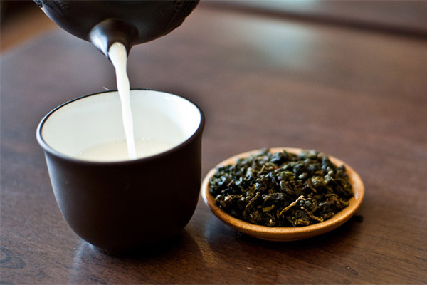 En quoi l'oolong au lait est-il bénéfique