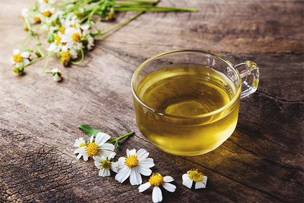 En quoi l'infusion de camomille est-elle bénéfique