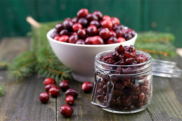 Wie nützlich sind getrocknete Cranberries
