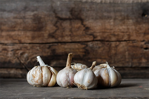 Knoblauch in der Kosmetik