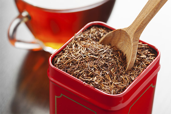 Faits intéressants sur le rooibos
