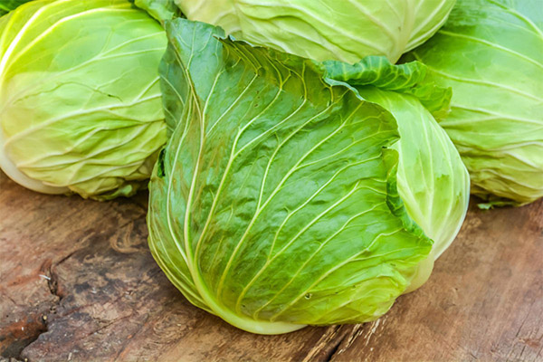 Interessante Fakten über Kohl
