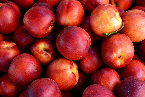 Faits intéressants sur la nectarine