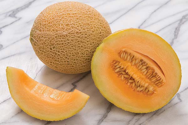 À quelle fréquence donner du melon à l'enfant ?