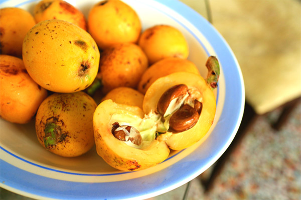 Comment mange-t-on le fruit de la nèfle?