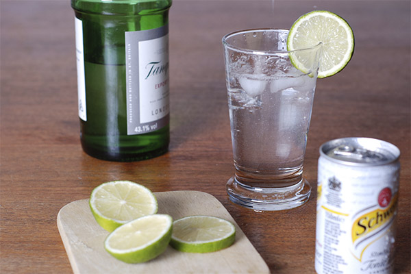 Wie man Gin trinkt