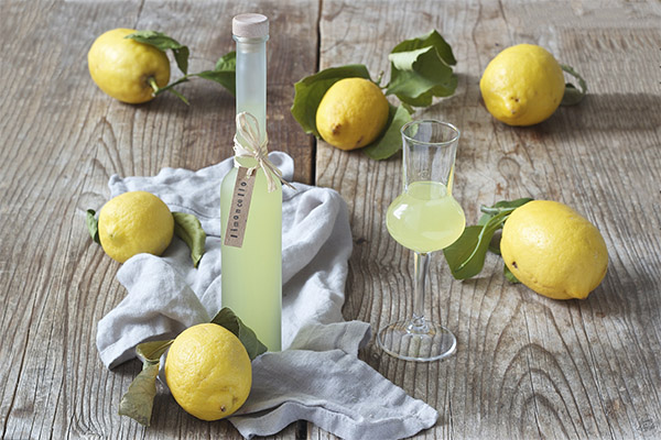 Wie man Limoncello trinkt