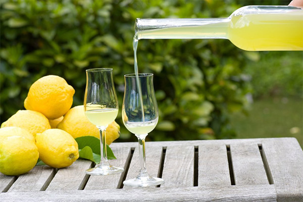 Wie trinken Sie Limoncello richtig?
