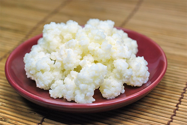 Comment consommer correctement le champignon de lait