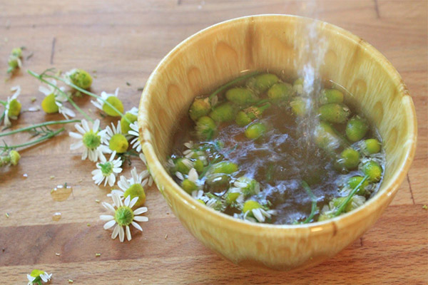 Comment préparer une infusion de camomille