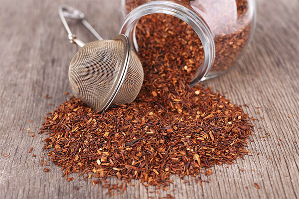 Comment choisir et conserver le thé rooibos